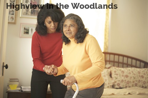 Highview in the Woodlands
