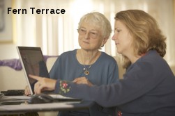 Fern Terrace