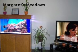 Margaret's Meadows